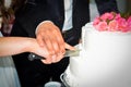 Wedding cake Royalty Free Stock Photo