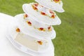 Wedding cake with fruit Royalty Free Stock Photo