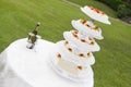 Wedding cake with fruit Royalty Free Stock Photo