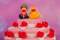 Wedding cake with funny ducks Royalty Free Stock Photo