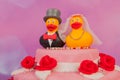 Wedding cake with funny ducks Royalty Free Stock Photo