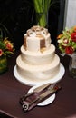 Wedding Cake with Gold Bow topper - Modern/Classy