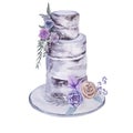 Wedding cake. Isolated on white background. Royalty Free Stock Photo