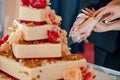 Wedding cake Royalty Free Stock Photo
