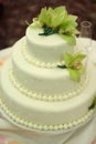 Wedding Cake with Orchids Royalty Free Stock Photo