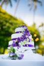 Wedding Cake with Orchids Royalty Free Stock Photo