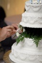 Wedding Cake Preparation