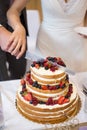 Wedding cake ready to be cut Royalty Free Stock Photo