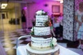 Wedding cake in rustic style. Three tiered chocolate wedding biscuit cake decorated with white and orange flowers. Royalty Free Stock Photo