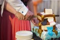 Wedding cake in shape of suitcase and knife in hands of bride and groom Royalty Free Stock Photo