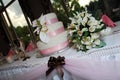 Wedding Cake Table 4 Royalty Free Stock Photo