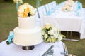 Wedding cake Royalty Free Stock Photo