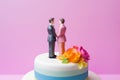 Wedding cake topper with two grooms, figurines of a gay couple. Gay marriage concept. Same-sex gay marriage, wedding sweets and Royalty Free Stock Photo