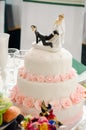 Wedding cake Royalty Free Stock Photo