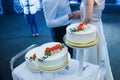 Groom and bride stand next to a large wedding cake