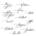 Wedding calligraphic inscriptions - welcome,open bar, please seat, reserved, gifts, cards, programs