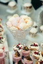 Wedding Candy Dessert Bar Marshmallows Stand Jelly Fruit Table Tasty Decor Close Up. Royalty Free Stock Photo