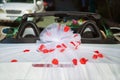 Wedding car back view and petals on top. Luxury wedding car decorated with flowers.just married sign and cans attached. Royalty Free Stock Photo