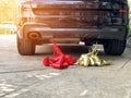 Wedding car with red and gold cans tied at the back Royalty Free Stock Photo