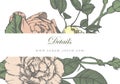 Wedding card suite with vintage flower Templates
