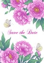 Wedding Card Template with Pink Peony Flowers Royalty Free Stock Photo