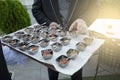 Wedding celebration, catering canapes