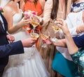 Wedding Celebration. Hands holding the glasses of champagne and wine making a toast Royalty Free Stock Photo