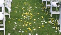 Wedding celebration. Yellow & White rose petals down the aisle Royalty Free Stock Photo