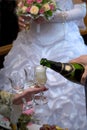 Wedding Celebrations Royalty Free Stock Photo