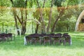 Wedding ceremony place under tall green trees. Round wedding arch decorated with willow branches, white and purple flowers Royalty Free Stock Photo