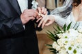 Wedding ceremony. Registry office. A newly-married Royalty Free Stock Photo