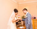 Wedding ceremony in a registry office painting, marriage. Royalty Free Stock Photo