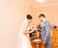 Wedding ceremony in a registry office painting, marriage. Royalty Free Stock Photo