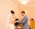 Wedding ceremony in a registry office painting, marriage. Royalty Free Stock Photo