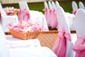 Wedding chairs decoration Royalty Free Stock Photo