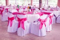 Wedding chairs in row decorated with pink color ribbon Royalty Free Stock Photo