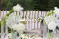 Wedding chairs Royalty Free Stock Photo