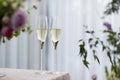 Wedding Champagne glasses Royalty Free Stock Photo