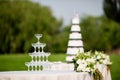 Wedding Champagne glasses Royalty Free Stock Photo