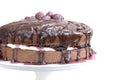 Wedding cherry-chocolade cake Royalty Free Stock Photo