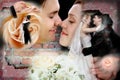 Wedding collage Royalty Free Stock Photo