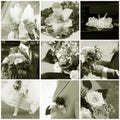 Wedding collage