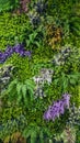 Wedding colorful flowers backdrop decoration background and textures with many type of flowers and green leaves