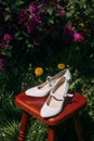 wedding composition of a pair of bride\'s shoes on a stool, in a garden with blooming lilacs