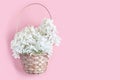 wedding concept. beautiful white hydrangea flowers in a wicker basket on a pink background. Royalty Free Stock Photo