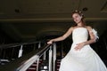 Wedding concept bride in dress