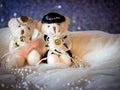 wedding concept : Couple Teddy Bears in wedding dress .