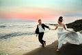 Wedding couple at beach Royalty Free Stock Photo