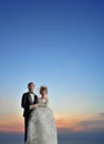 Wedding couple bride and bridegroom doll Royalty Free Stock Photo