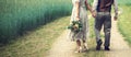 wedding couple, bride and groom holding hands and walks the country road beside cereal field. back view Royalty Free Stock Photo